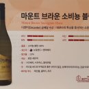 마운트블랑 이미지