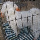 포항잠수센터