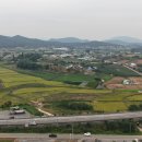 서산시 팔봉면 진장리,7천만 원! 귀농·귀촌 최적지! 팔봉산 아래 전원 힐링 라이프 이미지