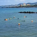 모슬포 포구민박 이미지