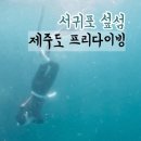 서귀동-35 이미지