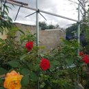 한림정역 이미지