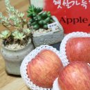 영승농장 이미지