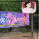 금성민박 이미지