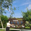 웃음꽃목장 이미지