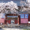 완주 송광사 관광안내소 | 백운대 자락 아래 고요히 머무는 사찰, 완주 송광사 여행기