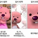 2024 상반기 화승코퍼레이션 재료개발 2차 면접 후기
