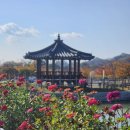 한국관 관광나이트 | 경북 안동 아이와 함께 가기 좋은 유교랜드 재개관 후기