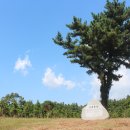 빌렛동산 네이버블로그