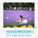 멜론버스(주) | 여름 삿포로 비에이투어 할인 예약 준페이 식사 가능 버스 투어