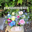 풍성함 | ​[군산 꽃집 추천] 지곡동 '자스민 플라워' – 기분 전환용 행복, 풍성함에 반하는 찐 단골집 후기 💖