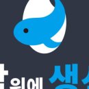 밥위에생선(동탄맛집)프리미엄 초밥을 맛볼수있는곳 후기!!