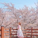 한수제 일원 | 전남 여행 나주 가볼만한곳 불회사, 한수제, 카페, 유채꽃까지 광주근교 드라이브