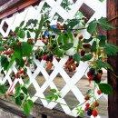 덕풍황토방 이미지