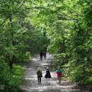 [자박자박 소읍탐방] ＜205＞화천 비수구미, 파로호유람선, 백암산케이블카 이미지