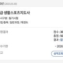 태준몰 이미지