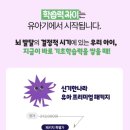 신기한나라 이미지