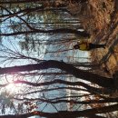 선기로2-9 이미지