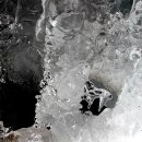 개팔자상팔자 이미지