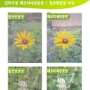 윈 카페 이미지