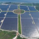 해바라기 태양광발전소 이미지