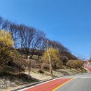 봉현농장 이미지