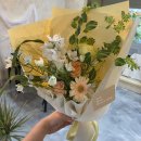 아미플레르 이미지