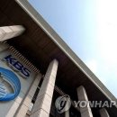 &#34;부산에서는 수신료 받지 마라&#34; KBS 재난방송 또 논란 이미지