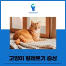 24시 딜라이트 동물의료센터 이미지