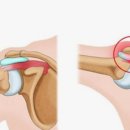 와이투짐 원흥역점 이미지