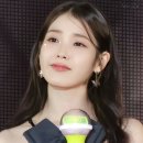 에스티월드
