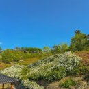 성림한의원 이미지