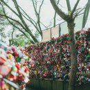 남산으로 이미지