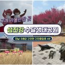 간전중앙로 이미지