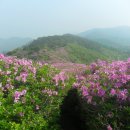 5월1일제489차 장수 봉화산철쭉제 산행안내 이미지