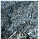 주)용평리조트 드래곤프라자 이미지