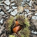 선산대로10-18 이미지