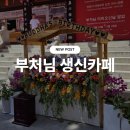 카페신 | 회기동 연화사 부처님 생일 카페 / 부처님 미리오신날 팝업 후기 🪷