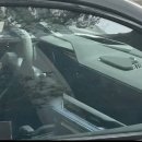 오로라2 이미지