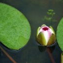 즉연농장 이미지