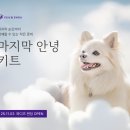 펫 포포즈 이미지