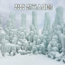청양 알프스마을 얼음분수축제 눈썰매장 이용 후기 1박 2일 국내 여행지 추천
