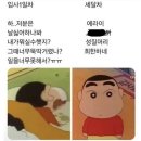 갑자기 튀르키예 추팔하는 일상