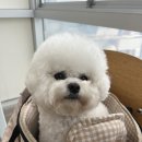 태산식당 이미지