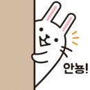 이화떡케잌