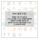 비버코딩 이미지
