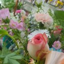 북안남6길 이미지