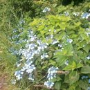 정석목장 이미지