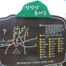 제주 산방산 암벽식물지대 이미지