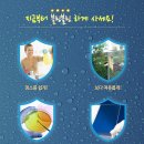 블링캡 이미지